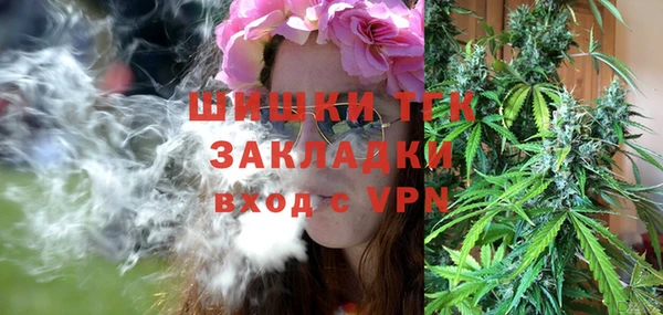 индика Белокуриха