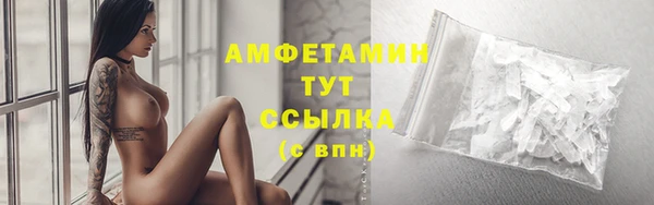 крисы Баксан