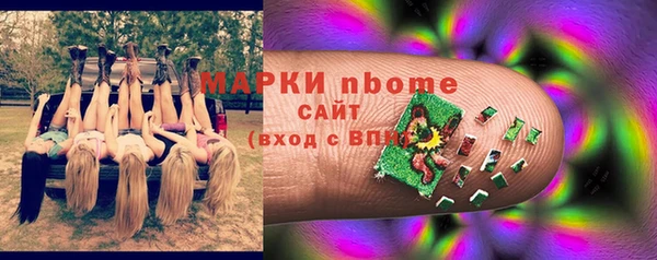 крисы Баксан