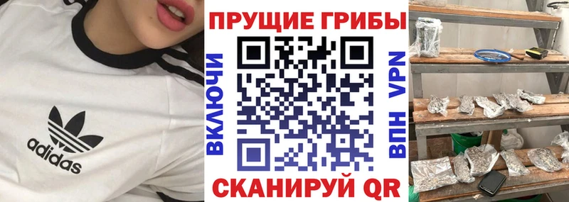 Галлюциногенные грибы GOLDEN TEACHER  Красноармейск 